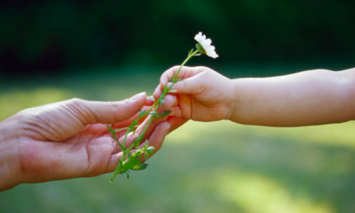 Hãy vun đắp chứ đừng triệt hạ ai đó cho dù xa lạ