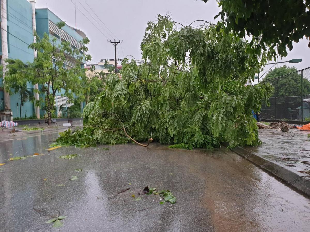 Việt Nam Đang Chịu Sự Ảnh Hưởng Rất Lớn Từ Hiện Tượng Nóng Lên Toàn Cầu